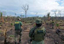 Ibama embarga 462 hectares e aplica R$ 1,3 milhão em multas Ibama-embarga-multa.jpeg