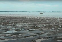 Earthworks anuncia descobertas de investigações sobre contaminação de petróleo e gás na Argentina e no Brasil ao mesmo tempo em que revela resultados do estudo do projeto piloto. foto