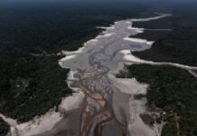 Mudanças climáticas foram ‘principal’ fator para seca recorde na Amazônia, diz estudo: o que isso significa para o futuro da floresta?