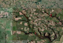 Morte e Renascimento de um Pequeno Manguezal