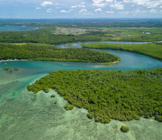 Governo afirma que projeto na ilha de Boipeba é “incompatível com a legislação”
