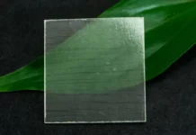 Madeira transparente: a alternativa ecológica que dominará a arquitetura e tecnologia no futuro