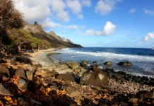 A gigante do plástico e a escancarada destruição socioambiental no litoral brasileiro