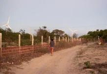 Sonho da energia verde vira pesadelo para alguns na Caatinga