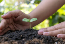 Gênero, raça e clima: as camadas invisíveis das tragédias ambientais