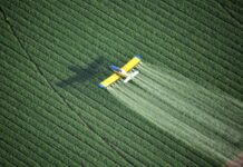 Agrotóxicos: saiba quais as frutas e os legumes com maior concentração de veneno