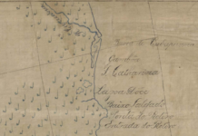 Mangue e humanos: rio Itabapoana