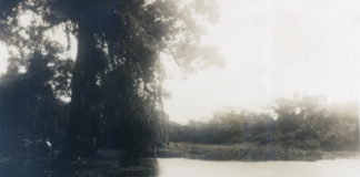 Entre Macaé e Búzios: história ambiental de rios e lagoas (I)