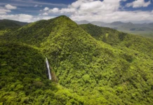Por que proprietários de reservas naturais merecem mais atenção, respeito e valorização?