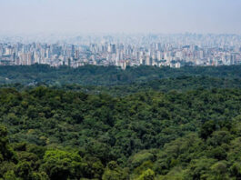 Três biomas visto do alto