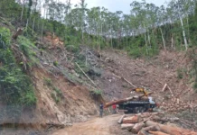 Artigo: Tragédia Anunciada – O caso de Macaé de Cima