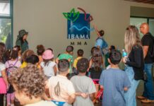 Educação Ambiental será prioridade para o Ibama em 2024
