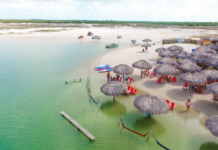 Congresso Nacional avalia criar fundo para promover o ecoturismo