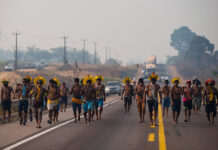 Ferrogrão: uma queda de braço entre multinacionais e povos da floresta
