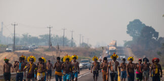 Ferrogrão: uma queda de braço entre multinacionais e povos da floresta