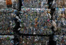 Governo quer endurecer regras de logística reversa para impulsionar reciclagem e evitar desemprego de catadores
