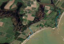 Mangue e humanos III: ribeirão Tatagiba (SFI)