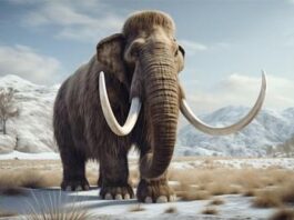 Procurando compreender as mudanças climáticas atuais