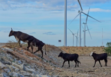 Vozes dos territórios por uma transição energética justa e popular