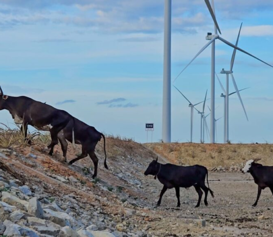Vozes dos territórios por uma transição energética justa e popular