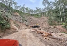 Especialista alerta para grave risco após desmatamento em Mury, Nova Friburgo