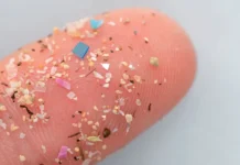 Ameaça microscópica aos oceanos não pode ser combatida apenas com tecnologia e limpeza