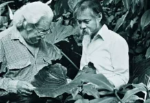 As seis décadas do paisagismo modernista (e revolucionário) de Burle Marx