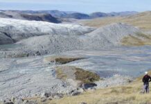 Especialistas em clima soam alarme sobre a próspera vida vegetal no manto de gelo da Groenlândia