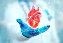 O que acontece quando microplásticos chegam às artérias? Estudo responde