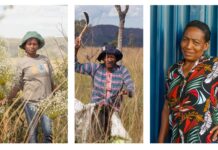 Mulheres do Cerrado: transformação por meio da coleta de sementes