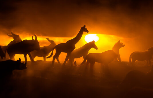 Podemos estar vivendo a sexta onda de extinção em massa