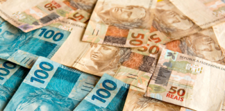 Crime ambiental é a terceira atividade criminosa mais lucrativa do mundo