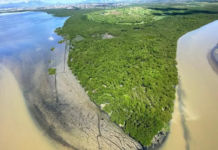 Espécies da flora e fauna voltam a habitar o Aterro Metropolitano de Jardim Gramacho
