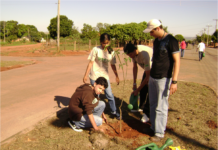 Como elaborar um projeto de educação ambiental