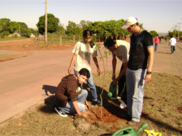 Como elaborar um projeto de educação ambiental