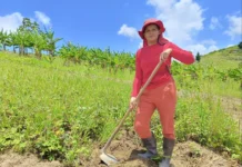 ‘Roçado das Marias’: ação do MST incentiva autonomia das mulheres no campo