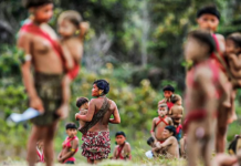 Em 9 comunidades ianomâmi, 94% dos indígenas têm alto nível de contaminação por mercúrio