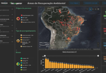 Ibama cria plataforma para acompanhar recuperação ambiental