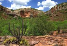 O FUNBIO seleciona instituições especializada para execução do projeto de aprimoramento e atualização tecnológica do sistema WEBAMBIENTE (EMBRAPA), no âmbito do projeto GEF Terrestre