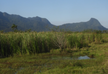 O fogo que legaliza a especulação imobiliária na zona oeste