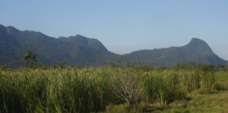 O fogo que legaliza a especulação imobiliária na zona oeste