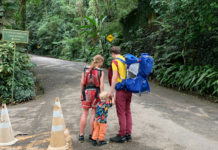 Novas regras de visitação no Parque Nacional da Tijuca