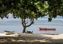Acredite, a qualidade da água da Baía de Guanabara está melhorando