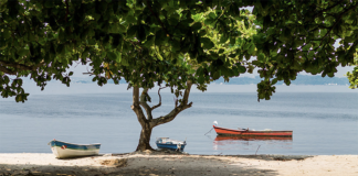 Acredite, a qualidade da água da Baía de Guanabara está melhorando