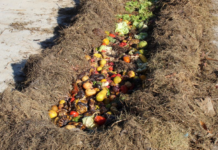 MMA inicia construção de Estratégia Nacional de Resíduos Orgânicos Urbanos