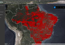 Ibama terá plataforma pública com dados de áreas degradadas de todo o Brasil