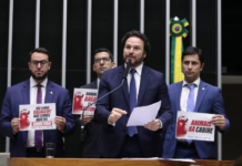 Câmara aprova oferta de transporte de animais domésticos nas cabines de aviões