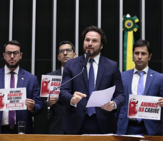 Câmara aprova oferta de transporte de animais domésticos nas cabines de aviões