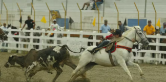 MPF pede suspensão de vaquejadas realizadas na Reserva Biológica do Tinguá