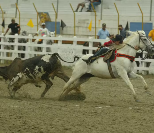 MPF pede suspensão de vaquejadas realizadas na Reserva Biológica do Tinguá